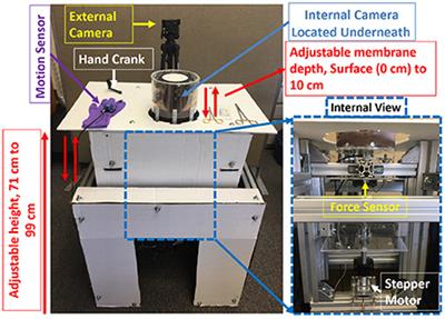 Assessment of open surgery suturing skill: Simulator platform, force-based, and motion-based metrics